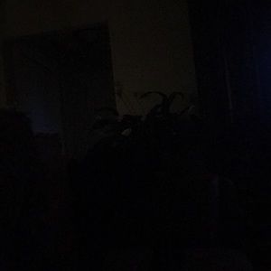 Meet your Posher, Antonia